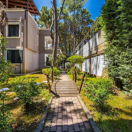 The Garden Jacuzzi By Ps Golem (Tirana)